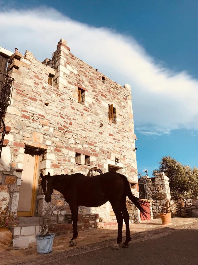 فندق Castle Rizaraki Kokkala المظهر الخارجي الصورة
